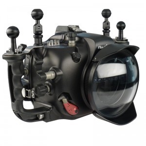 645df_rf-300x300.jpg